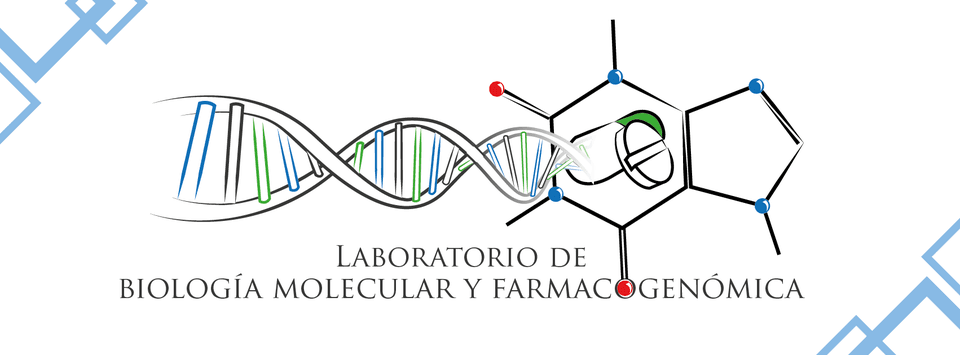 Logo LBMyFG